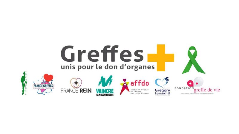 Greffe plus et ses partenaires